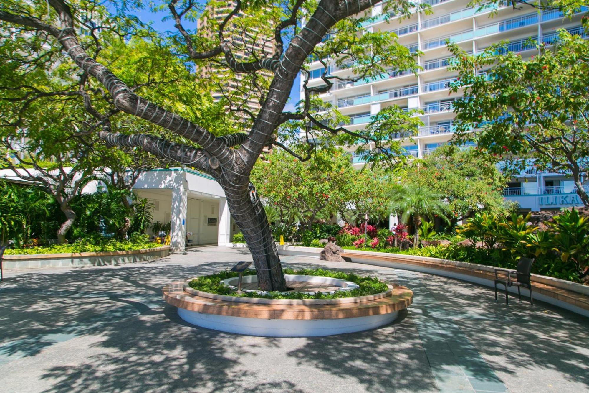 Ilikai Tower 931 Yacht Harbor View 1Br Leilighet Honolulu Eksteriør bilde